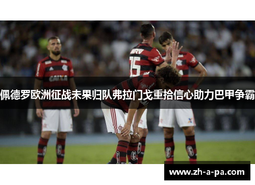 佩德罗欧洲征战未果归队弗拉门戈重拾信心助力巴甲争霸 佩德罗欧洲征战未果归队弗拉门戈重拾信心助力巴甲争霸