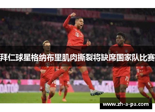 拜仁球星格纳布里肌肉撕裂将缺席国家队比赛